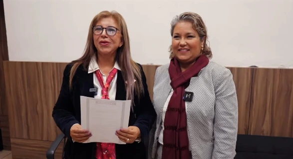 Comité Ejecutivo Estatal de Morena Edomex