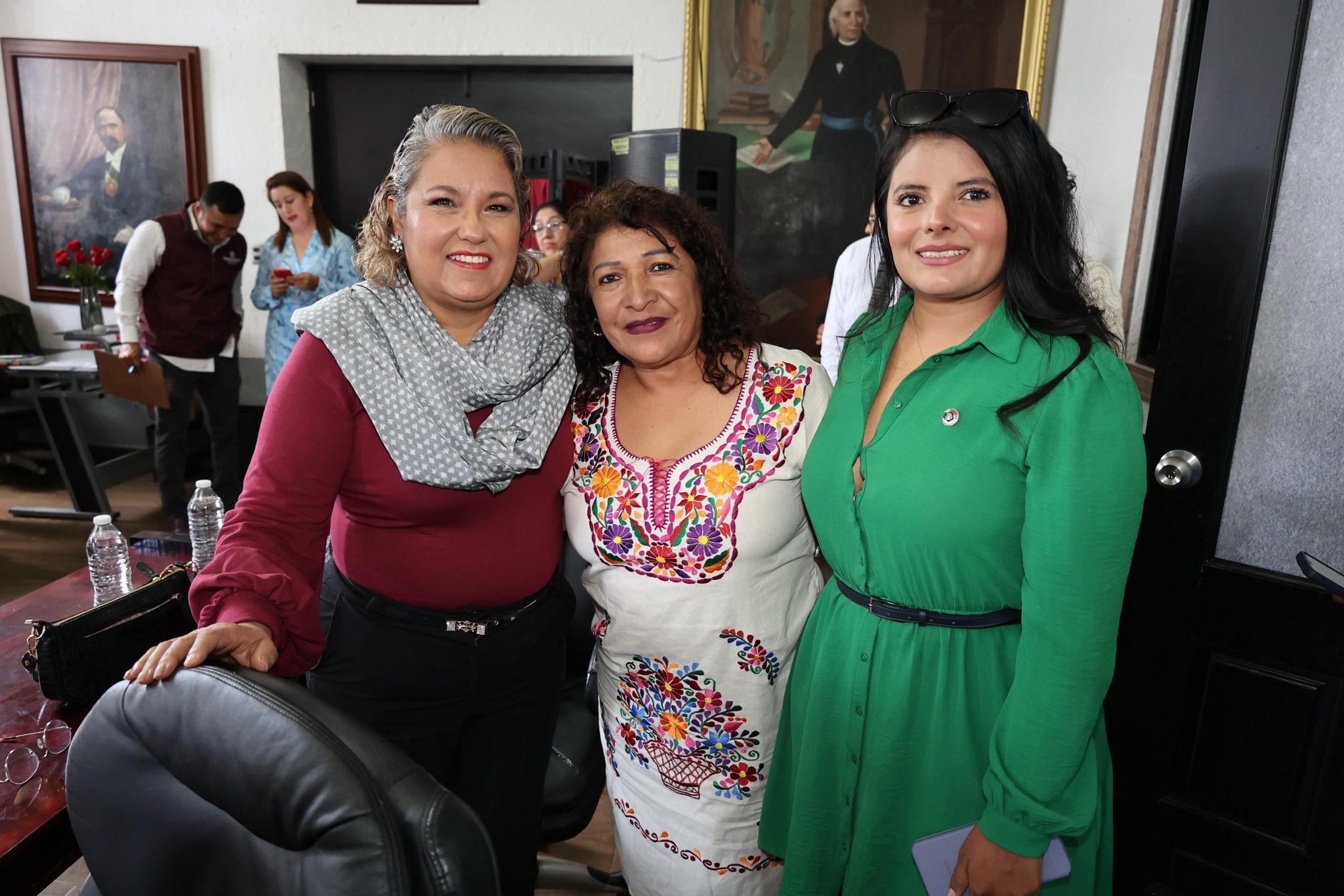 Comité Ejecutivo Estatal de Morena Edomex